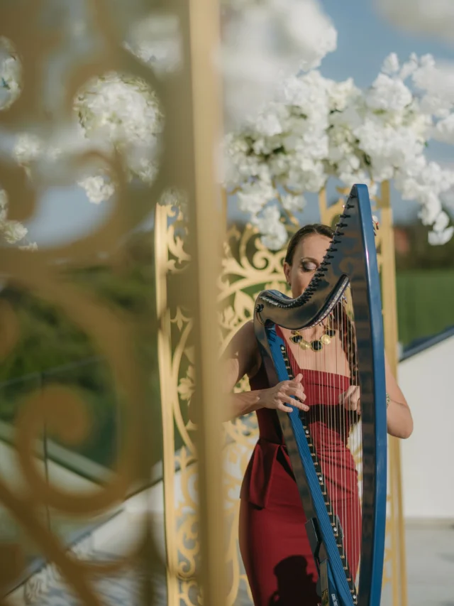 Pop i rok hitovi na električnoj harfi – uvodna muzika na venčanjima i drugim proslavama

Booking: +38163468834

#harp #harfa #harpist #harfistkinja #harpplayer #music #muzika #vencanice #event #wedding #weddingmusic #musicforwedding #vencanje #vencanjeizsnova #muzikazavencanje #muzikazavencanja #musicforevents #svadba #finamuzika #uvodnamuzika #prviples #elektricnaharfa #eventplanner #idejezavencanje #vencanjeizbajke #dekoracijazavencanja #vencanjenaotvorenom #prvirodjendan #proslavarodjendana #devojackovece